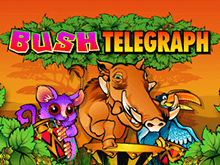 Bush Telegraph как играть в игровом слоте онлайн в мобильном казино