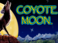 Coyote Moon и Мобильное казино предлагают играть онлайн